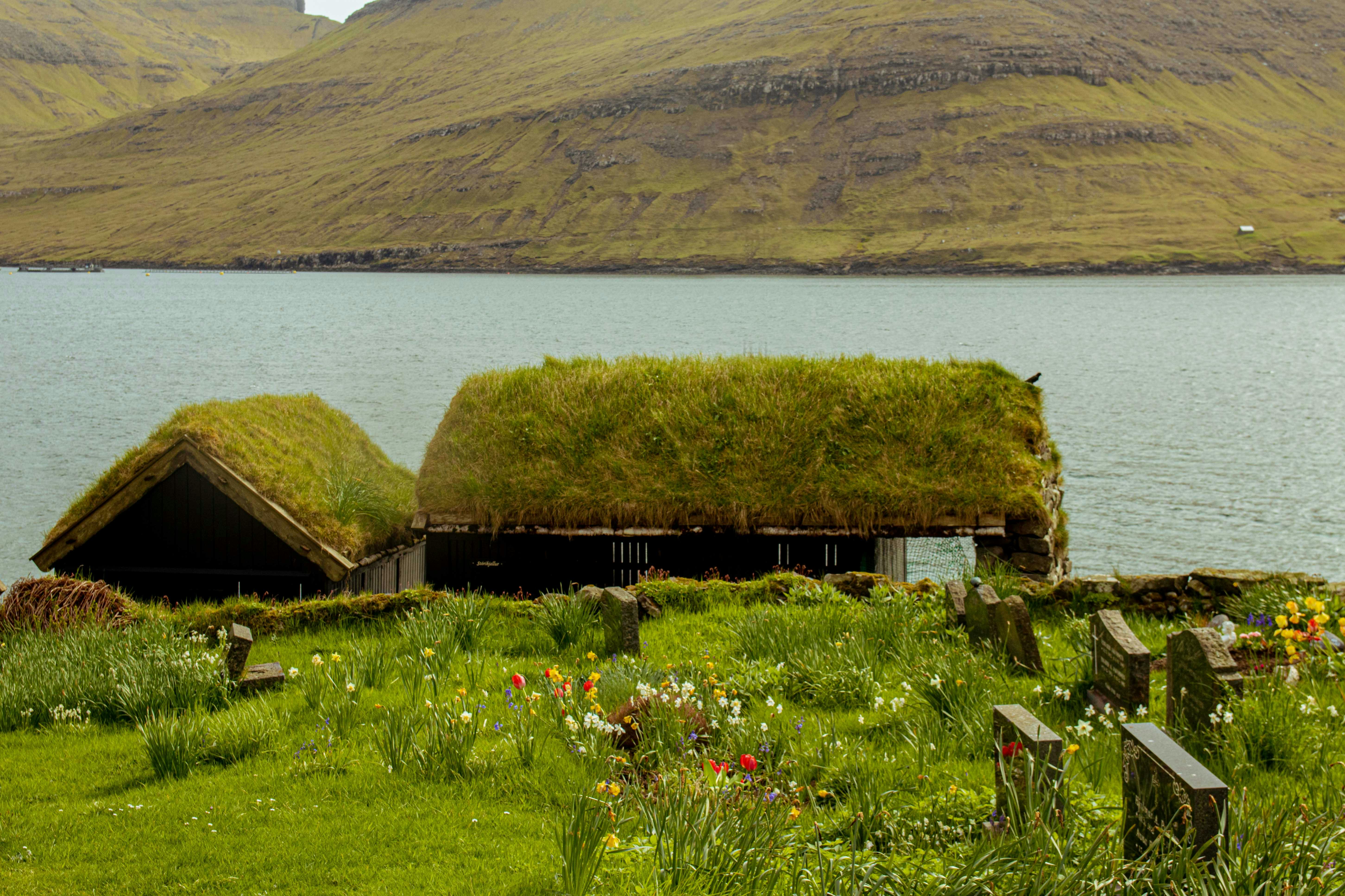 Faroe Islands Landscape
